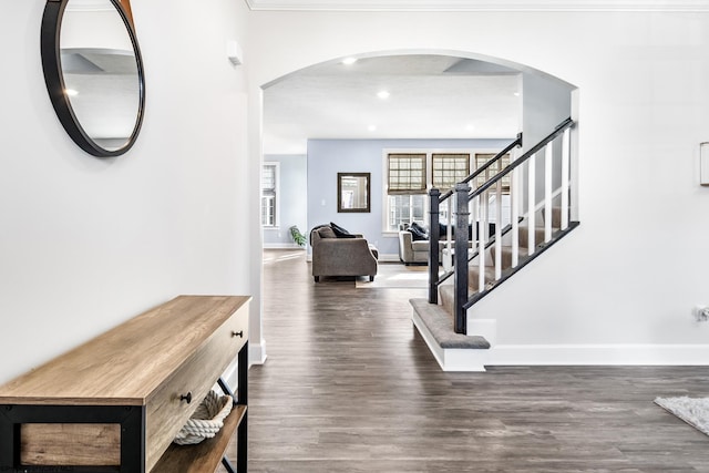 entryway featuring dark wood-type flooring