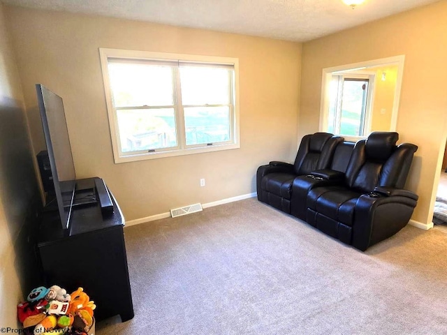 living room featuring carpet flooring, a textured ceiling, and a wealth of natural light