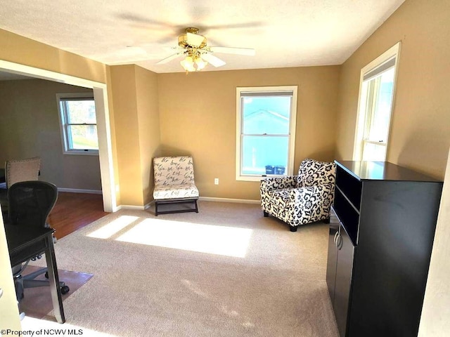 living area featuring ceiling fan and carpet