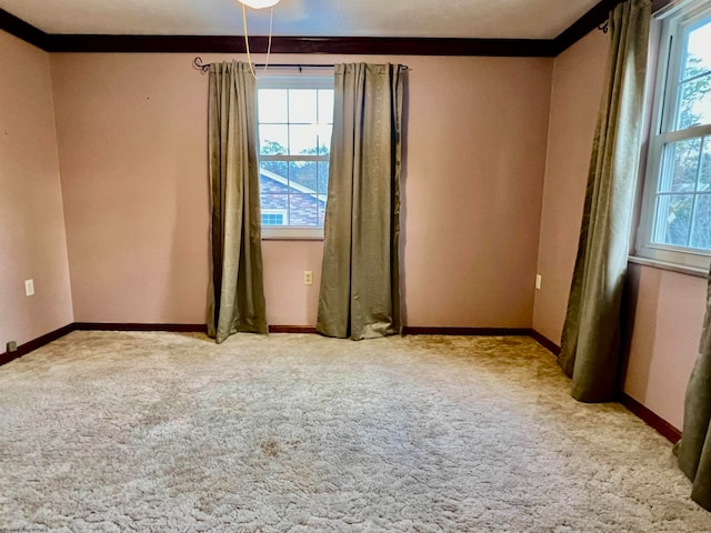 unfurnished room featuring light carpet, ornamental molding, and a healthy amount of sunlight