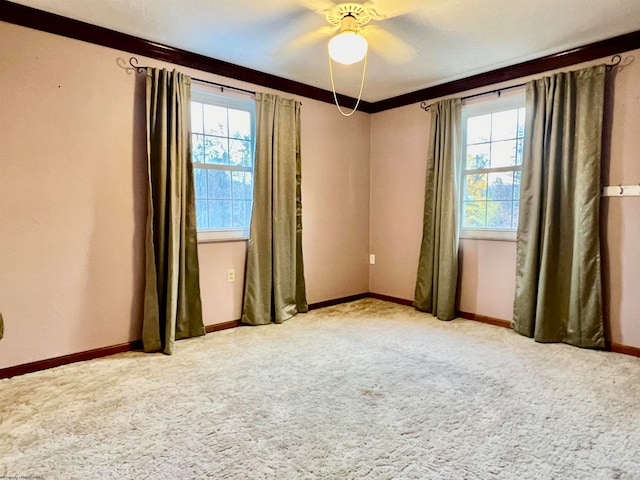 empty room with a wealth of natural light, ornamental molding, light carpet, and ceiling fan