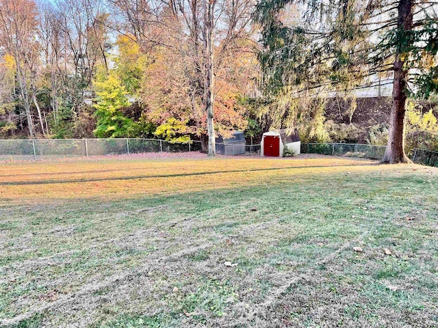 view of yard with a shed