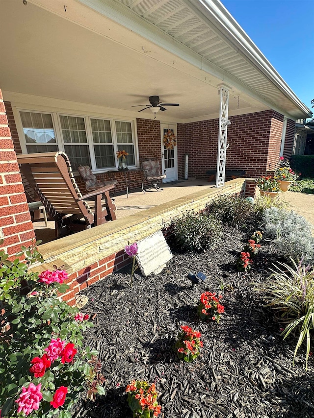 view of patio / terrace featuring ceiling fan