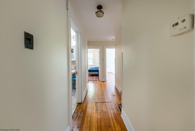 hall with hardwood / wood-style flooring