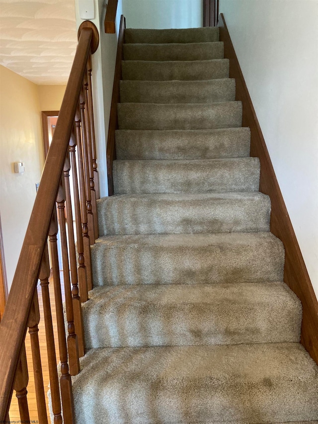 staircase featuring wood-type flooring