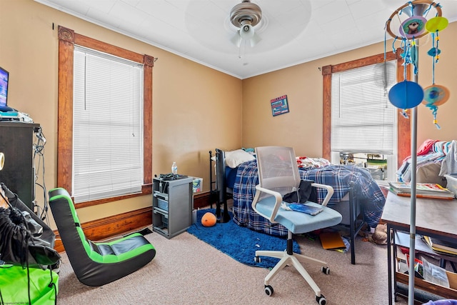 office featuring ceiling fan, carpet, and ornamental molding