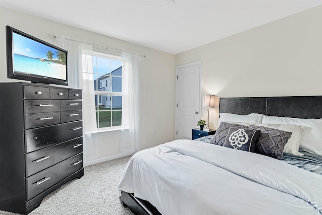 bedroom with carpet flooring