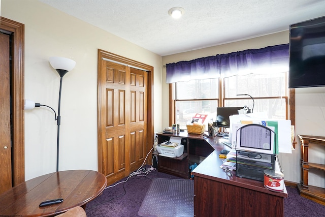 office with a textured ceiling and carpet flooring