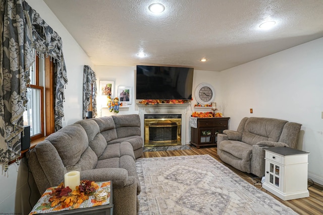 living room with a textured ceiling and hardwood / wood-style flooring