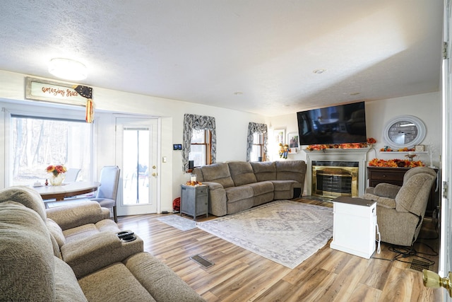 living room with a textured ceiling and light hardwood / wood-style flooring