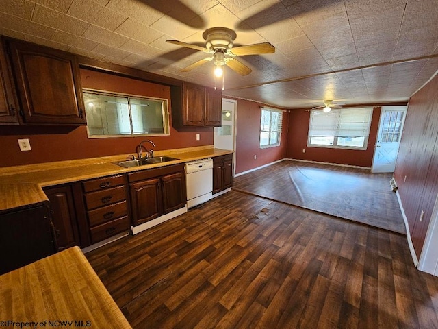 kitchen featuring dishwasher, sink, and dark hardwood / wood-style floors