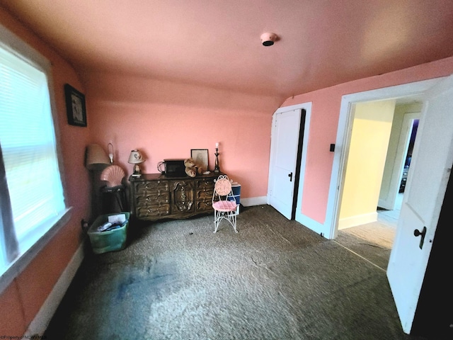 miscellaneous room featuring carpet flooring and a healthy amount of sunlight