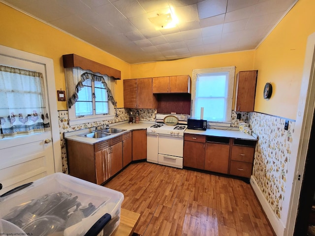 kitchen featuring white range oven, a wealth of natural light, sink, and light hardwood / wood-style floors