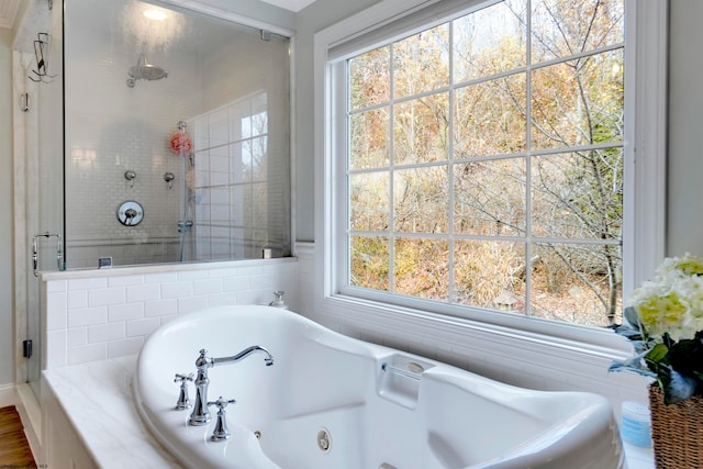 bathroom with independent shower and bath