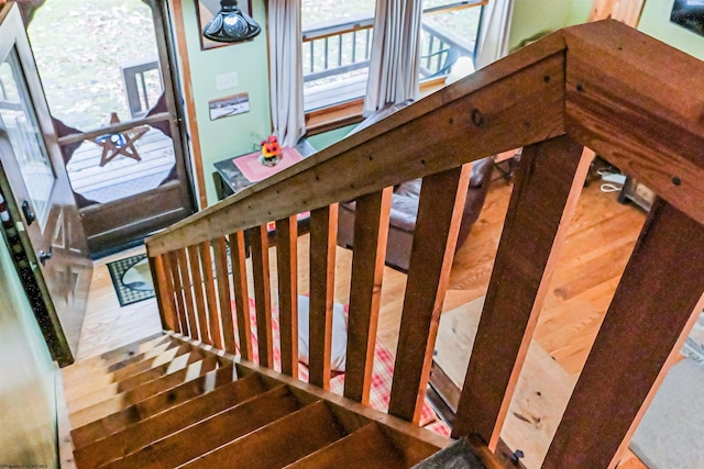 stairs with hardwood / wood-style floors