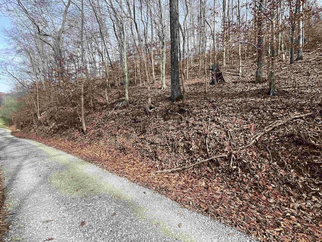 TBD Mud Lick Rd, Roanoke, WV 26447