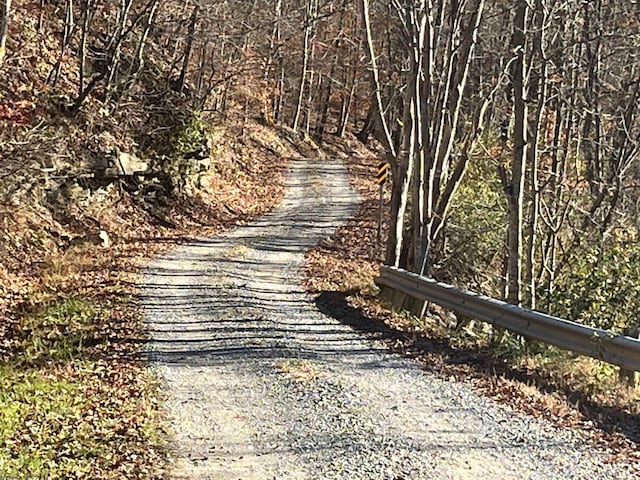 TBD Mud Lick Rd, Roanoke, WV 26447