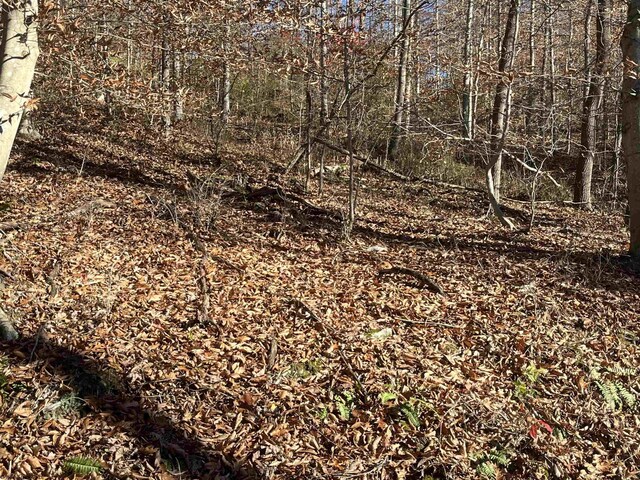 TBD Mud Lick Rd, Roanoke, WV 26447