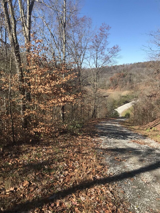 TBD Mud Lick Rd, Roanoke, WV 26447