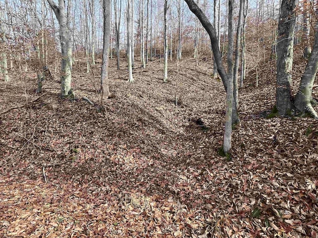 TBD Mud Lick Rd, Roanoke, WV 26447