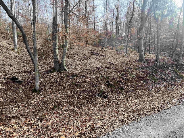 TBD Mud Lick Rd, Roanoke, WV 26447