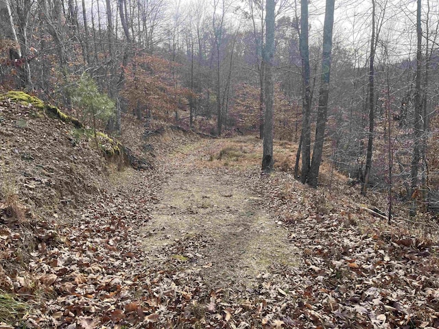 TBD Mud Lick Rd, Roanoke, WV 26447