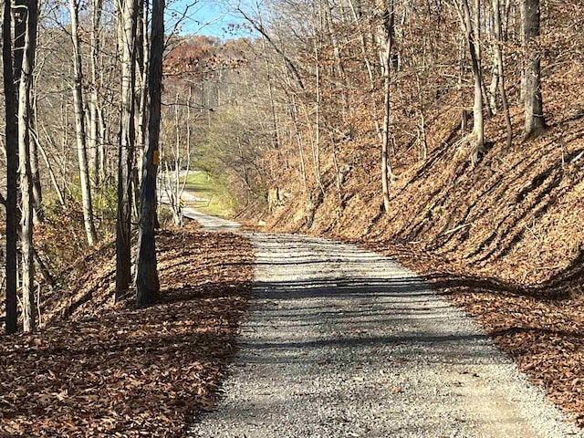 TBD Mud Lick Rd, Roanoke, WV 26447