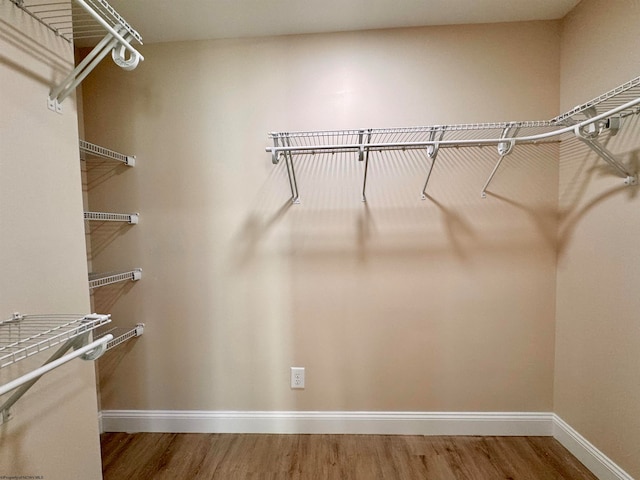 walk in closet with wood-type flooring