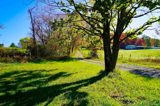 view of yard with a rural view