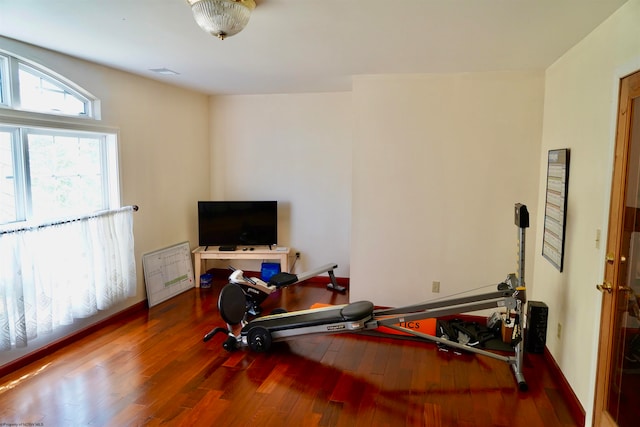 exercise area featuring hardwood / wood-style flooring