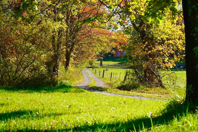 view of home's community with a lawn