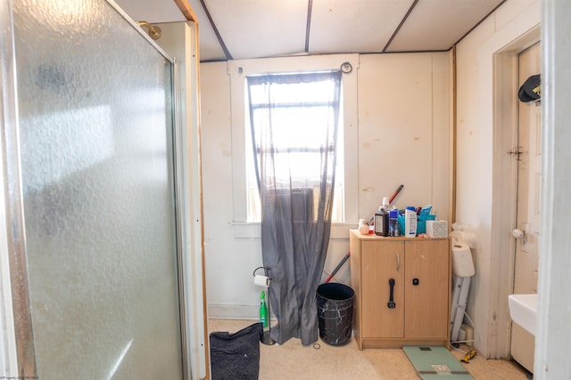 interior space featuring a shower with shower door