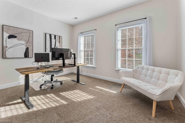 office area featuring carpet