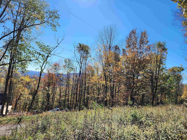 22 E Meadows Rd, Harman WV, 26270 land for sale