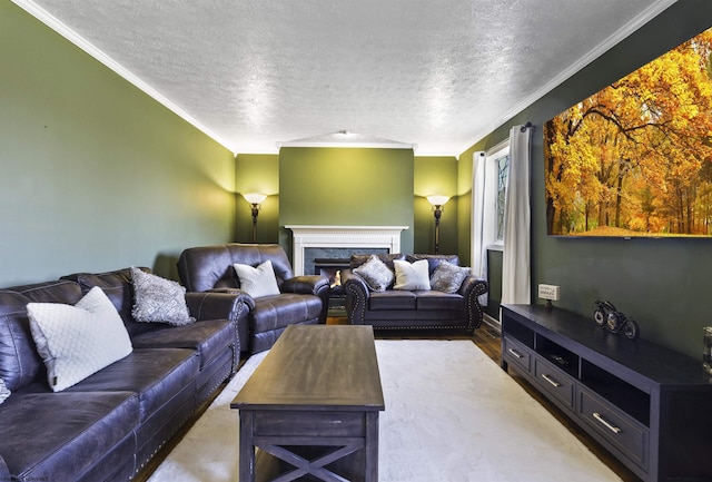 living room with a textured ceiling and ornamental molding