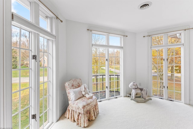 sitting room featuring carpet floors