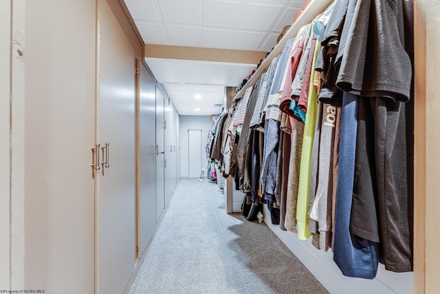 spacious closet featuring light colored carpet