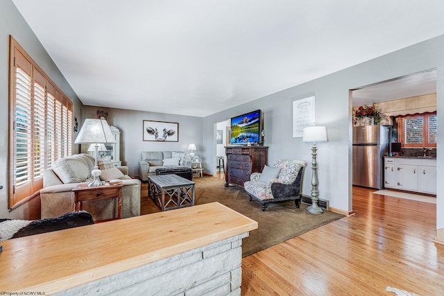 living room with hardwood / wood-style floors and sink