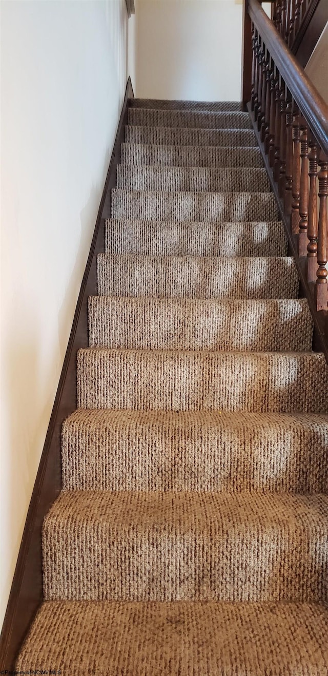 stairway with carpet flooring