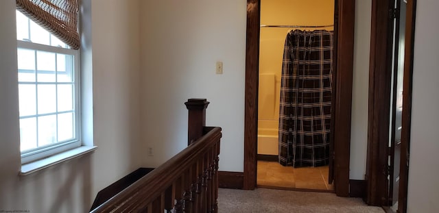 hallway with plenty of natural light