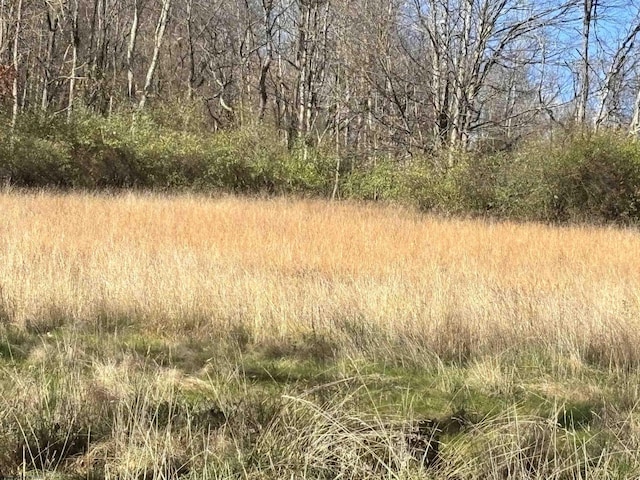 TBD Planing Mill St, Belington, WV 26250