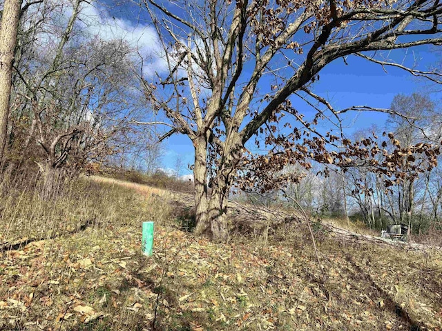 TBD Planing Mill St, Belington, WV 26250