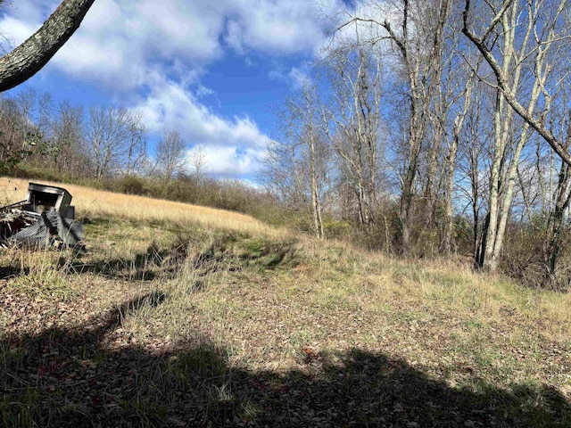 TBD Planing Mill St, Belington, WV 26250