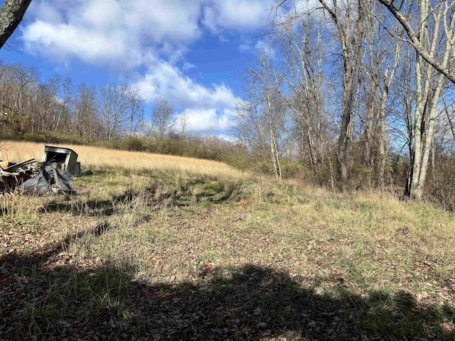 TBD Planing Mill St, Belington, WV 26250