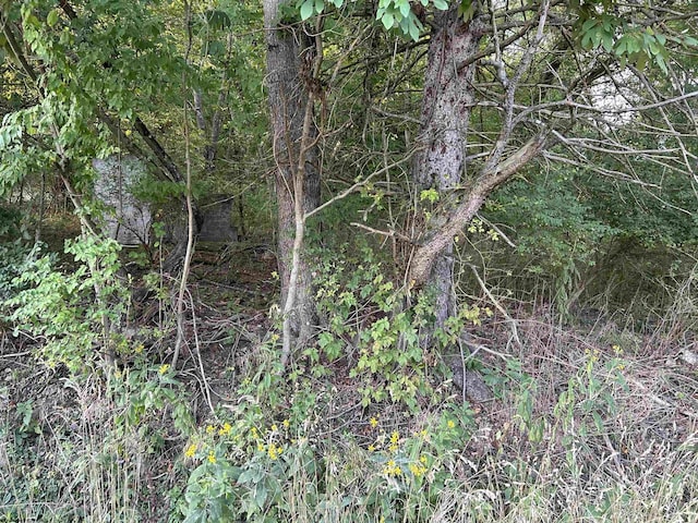 TBD Planing Mill St, Belington, WV 26250