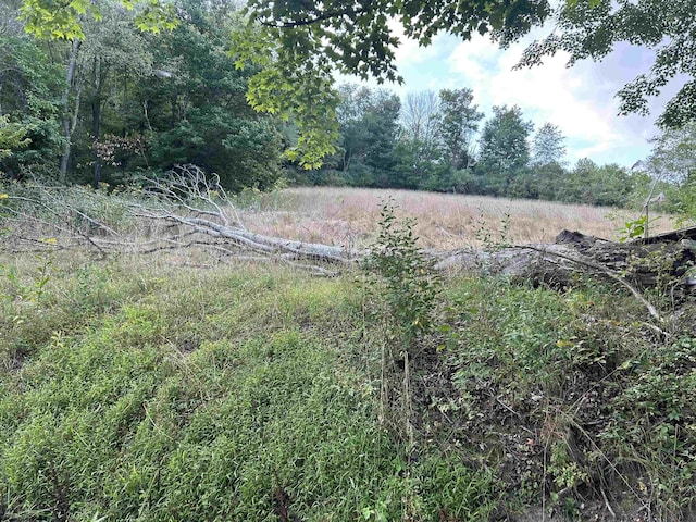 TBD Planing Mill St, Belington, WV 26250