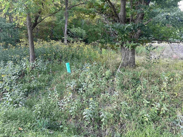 TBD Planing Mill St, Belington, WV 26250