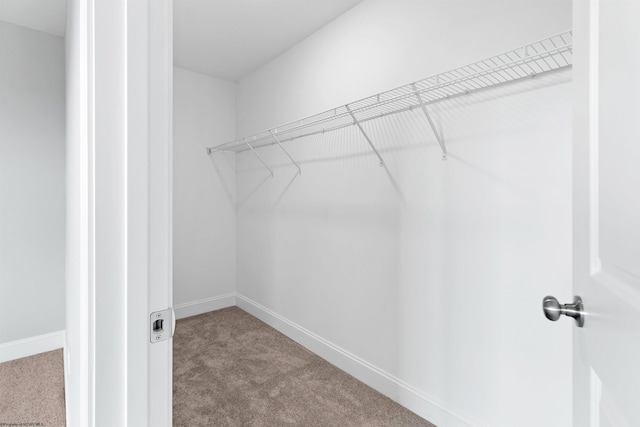 spacious closet with carpet flooring