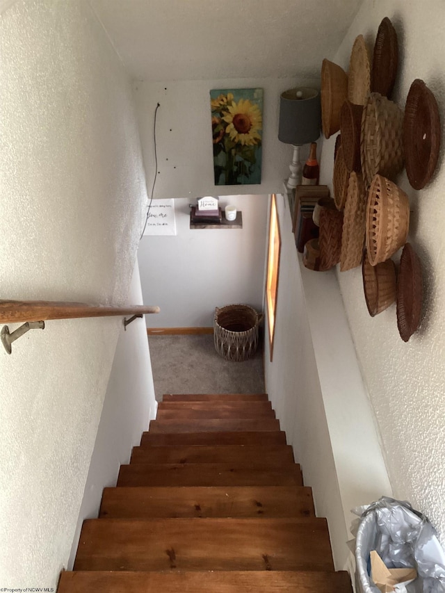 stairs featuring carpet floors