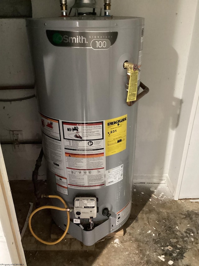 utility room with gas water heater